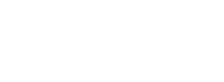 Rayz International