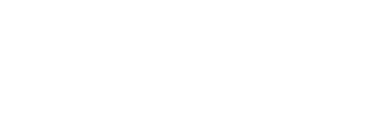 Rayz Intl